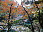 DSCN6560.JPG