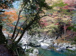 DSCN6578.JPG