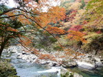 DSCN6579.JPG