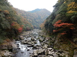 DSCN6592.JPG