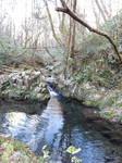 DSCN6843.JPG