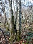 DSCN6844.JPG