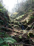 DSCN6847.JPG