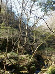 DSCN6849.JPG