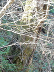 DSCN6850.JPG
