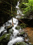 DSCN8876.JPG