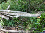 DSCN8906.JPG