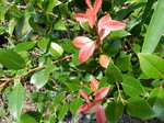 DSCN8909.JPG