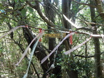 DSCN8910.JPG