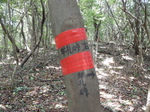 DSCN8911.JPG