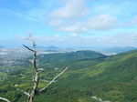 DSCN8913.JPG