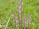 DSCN8941.JPG