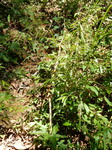 DSCN8951.JPG