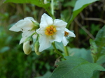 DSCN8954.JPG