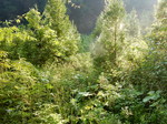 DSCN8957.JPG