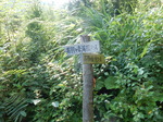 DSCN8959.JPG