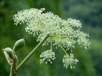 DSCN8962.JPG
