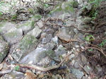 DSCN8965.JPG