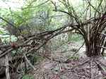 DSCN8967.JPG