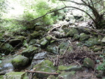 DSCN8970.JPG