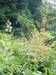 DSCN8978.JPG