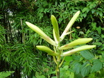 DSCN8983.JPG