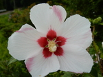 DSCN8987.JPG