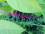 DSCN9773.JPG