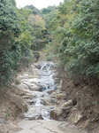DSCN9808.JPG