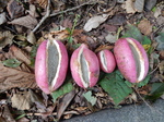 DSCN9812.JPG