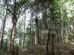 DSCN9819.JPG