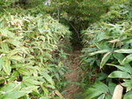 DSCN9843.JPG