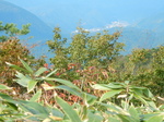 DSCN9848.JPG
