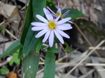 DSCN9863.JPG