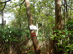 DSCN9887.JPG