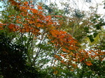 DSCN9889.JPG