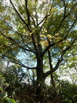 DSCN9890.JPG