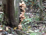 DSCN9901.JPG
