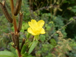 DSCN9907.JPG