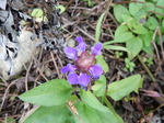 DSCN9909.JPG