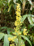 DSCN9921.JPG